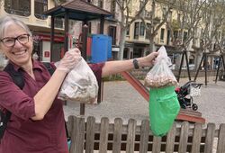 Cleanup at Plaça Poeta Marquina